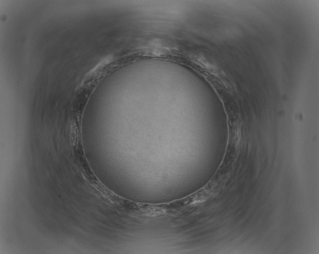X0000082961446200702011255
