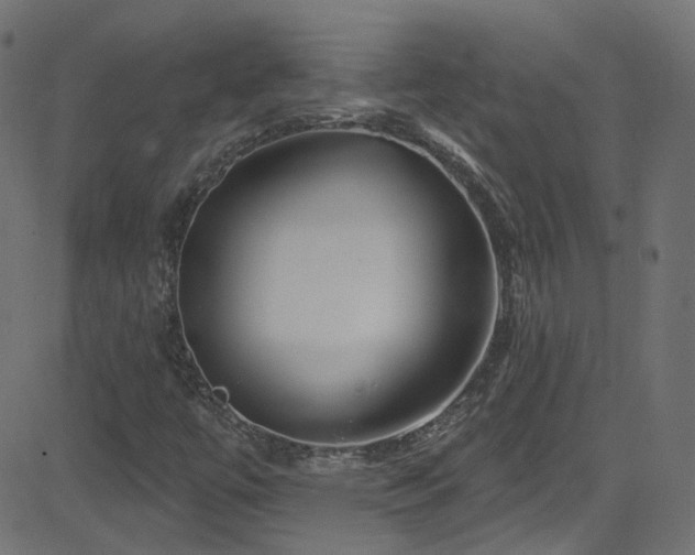 X0000082961447200702011255