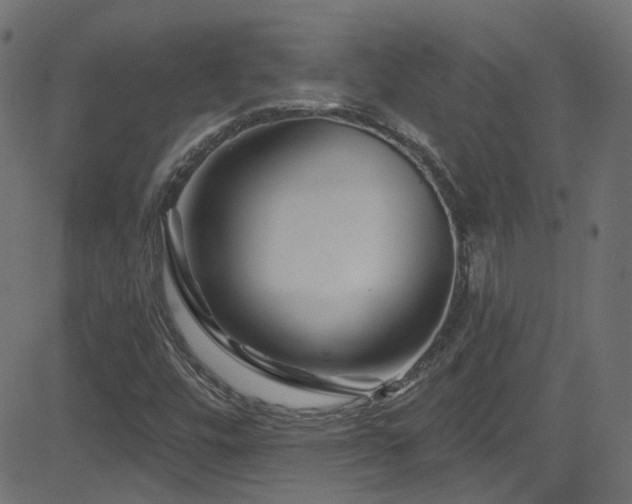 X0000082961448200702011255
