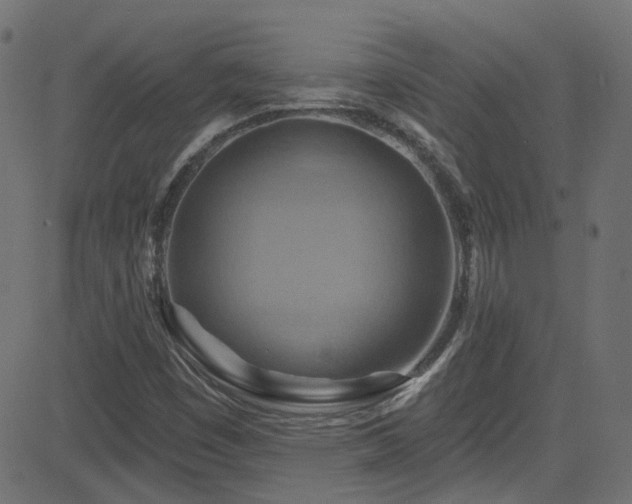 X0000082961449200702011255