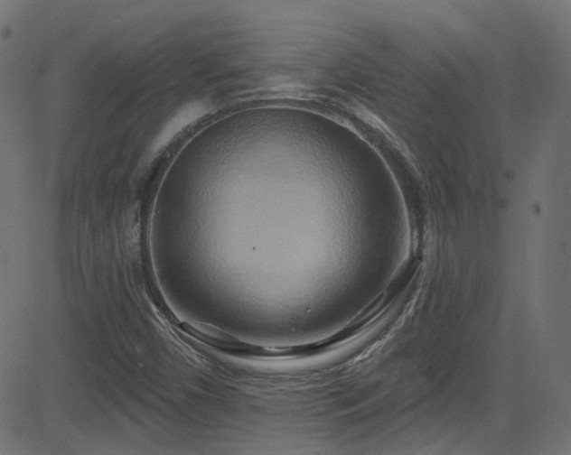 X0000082961450200702011255
