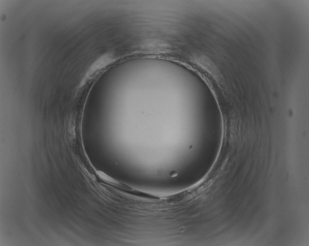 X0000082961451200702011255