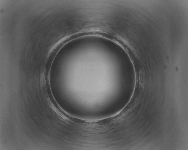 X0000082961452200702011255
