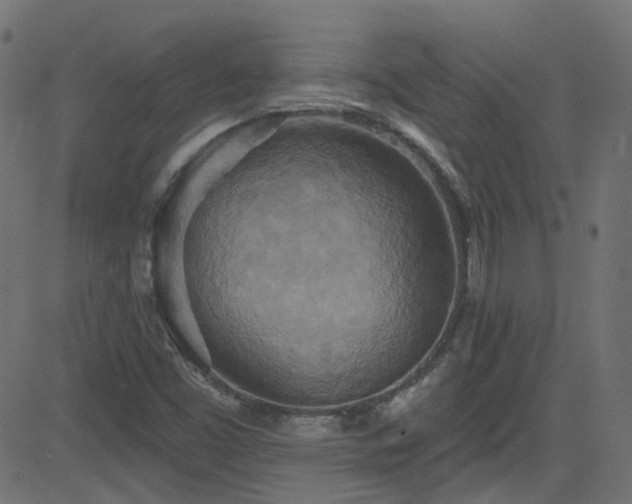 X0000082961453200702011255