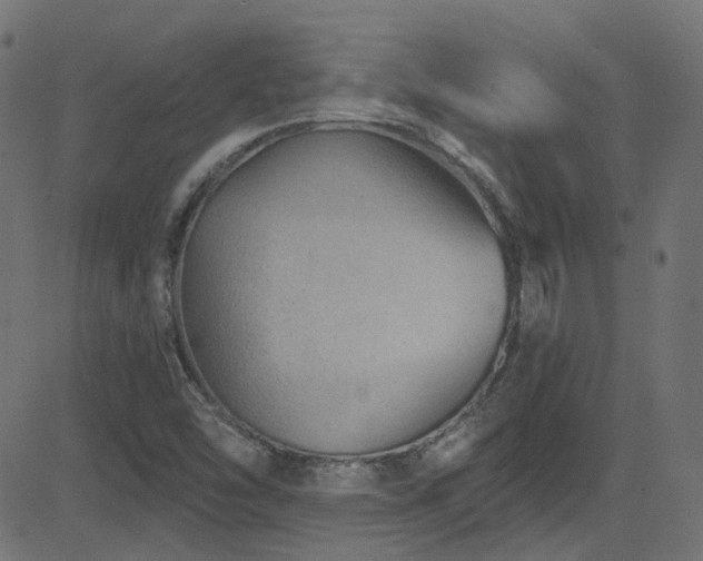 X0000082961454200702011255