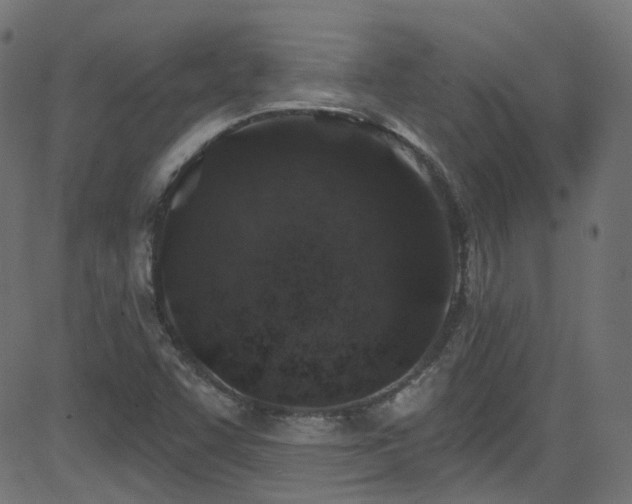 X0000082961455200702011255