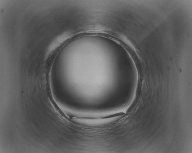 X0000082961456200702011255