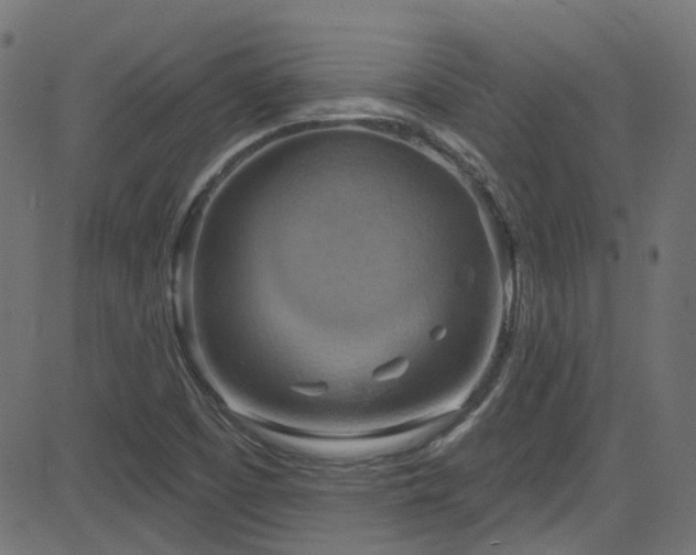 X0000082961457200702011255