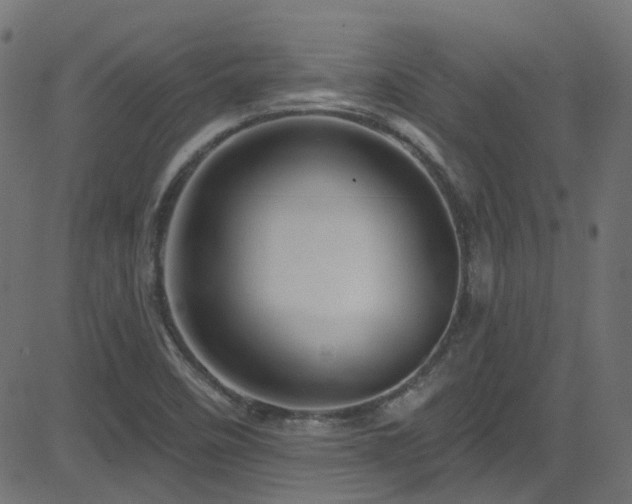 X0000082961458200702011255