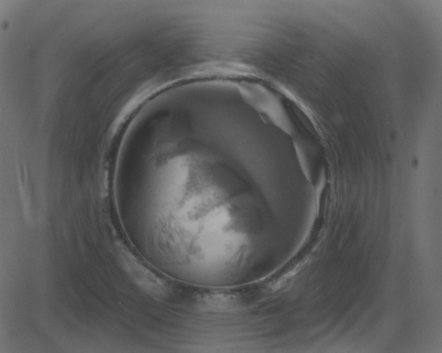 X0000082961459200702011255