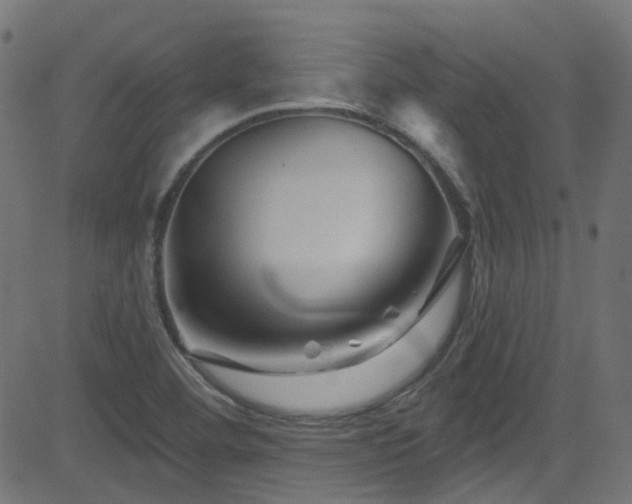X0000082961460200702011255