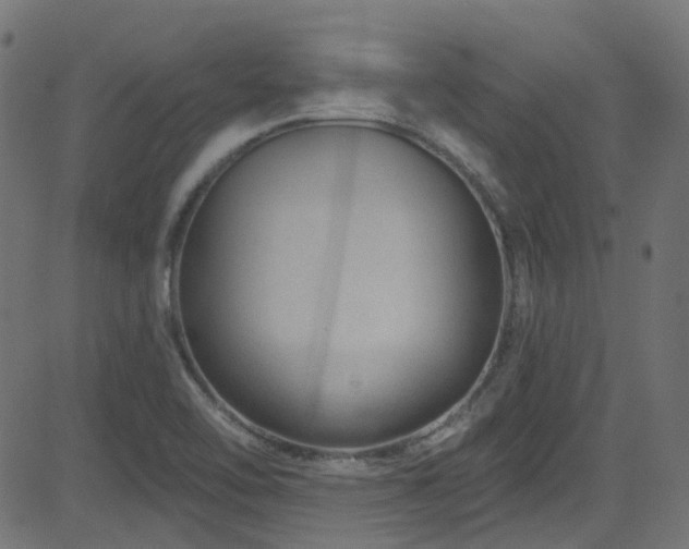 X0000082961462200702011255