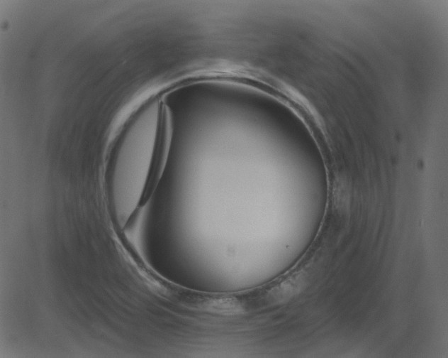 X0000082961464200702011255