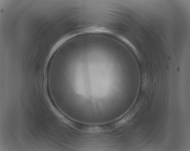 X0000082961467200702011255