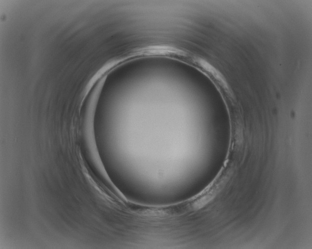 X0000082961473200702011255