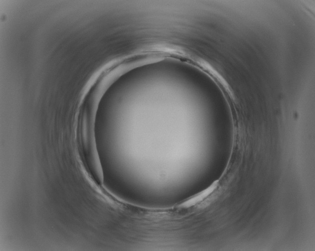X0000082961477200702011255