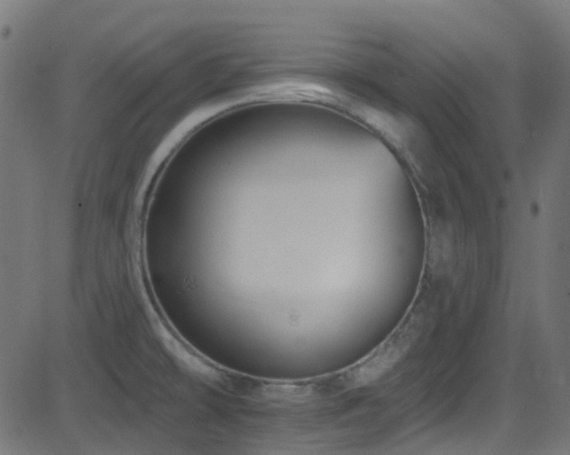 X0000082961478200702011255