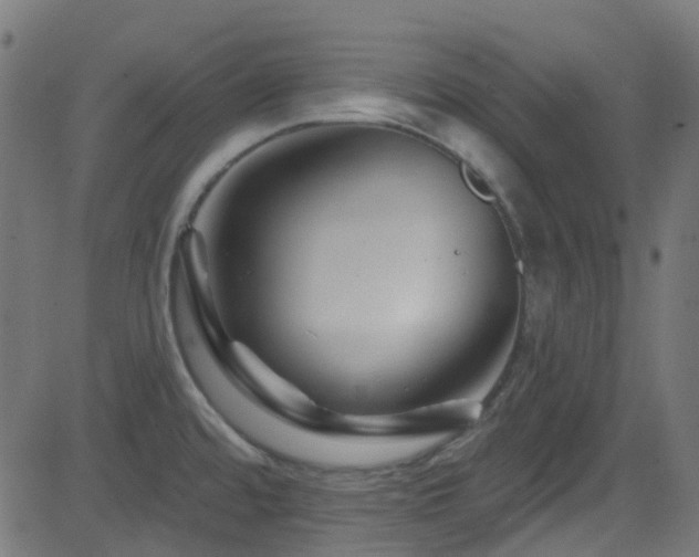 X0000082961480200702011255