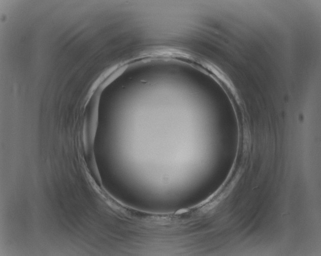 X0000082961481200702011255