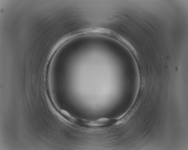 X0000082961483200702011255
