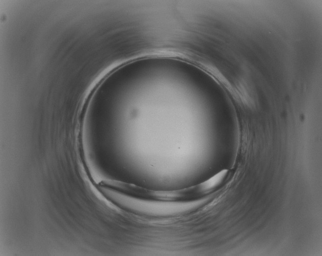 X0000082961484200702011255