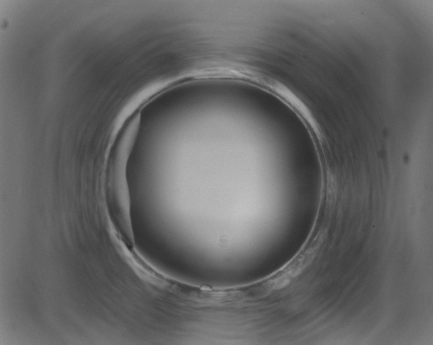 X0000082961485200702011255