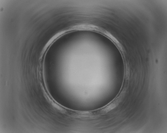 X0000082961486200702011255