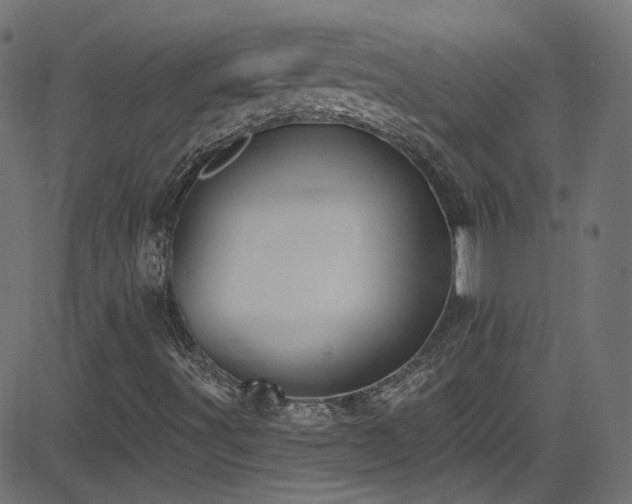 X0000082961491200702011254