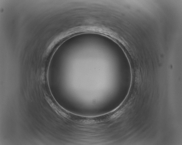 X0000082961499200702011254