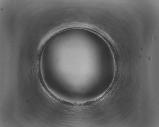 X0000082961504200702011254