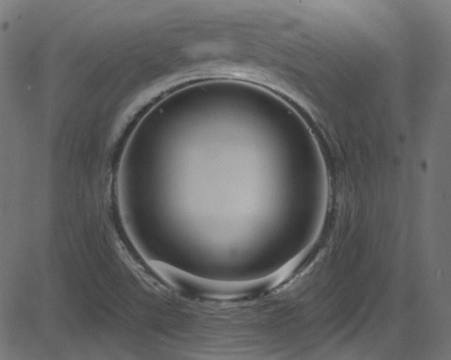 X0000082961507200702011254