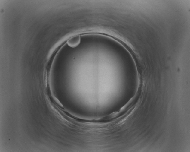X0000082961510200702011254