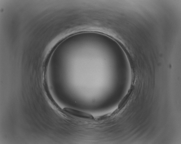 X0000082961511200702011254