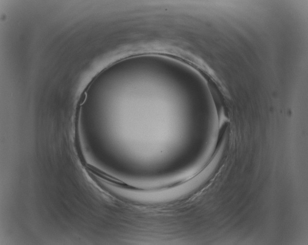 X0000082961512200702011254