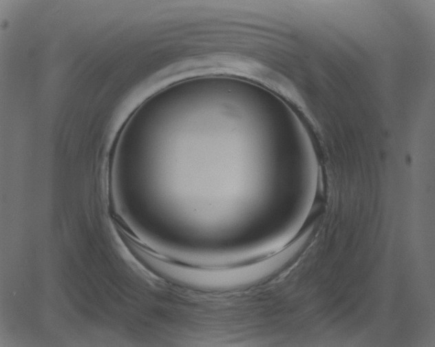 X0000082961516200702011254