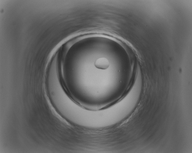 X0000082961518200702011254