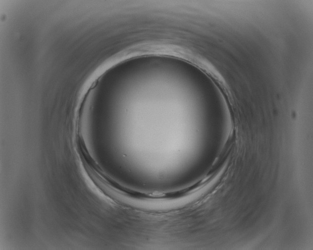 X0000082961528200702011254