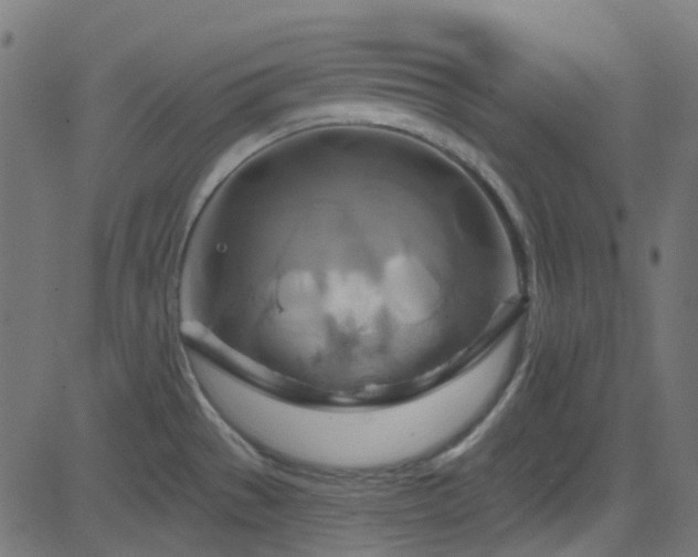 X0000082961529200702011254
