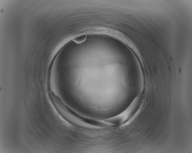 X0000082961533200702011255