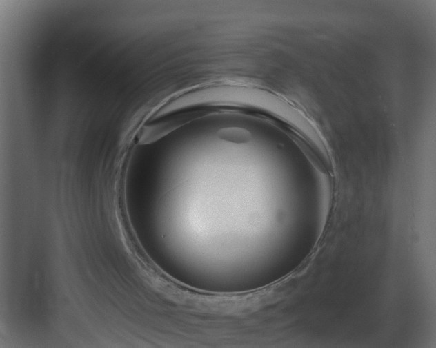 X0000082960001200702081728