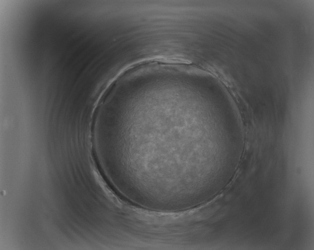 X0000082960002200702081728