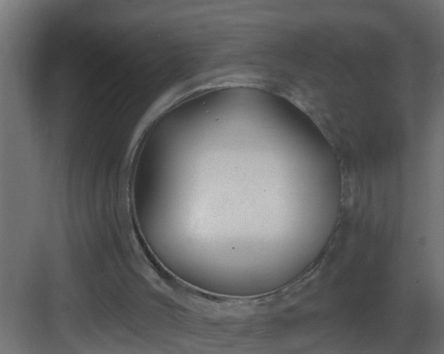 X0000082960004200702081728