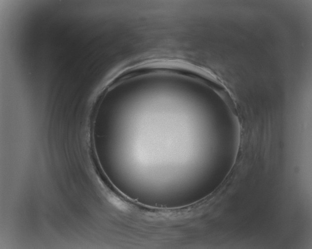 X0000082960005200702081728