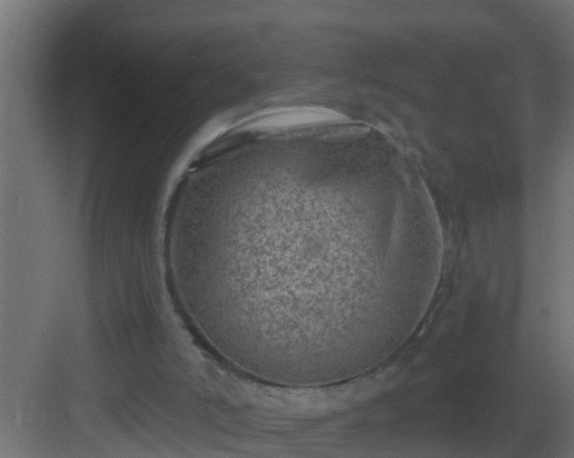 X0000082960006200702081728