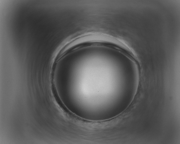 X0000082960007200702081728