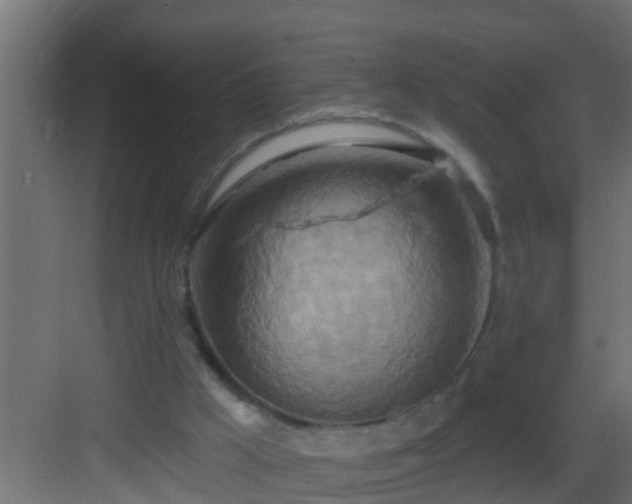 X0000082960009200702081728