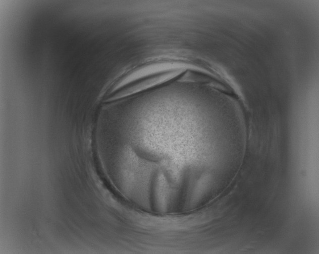 X0000082960010200702081728