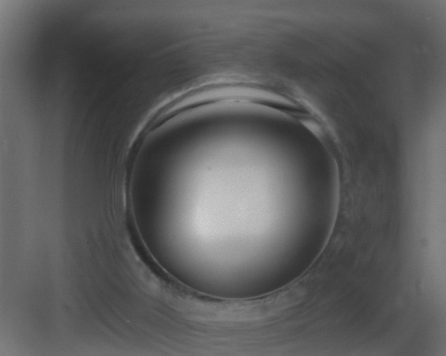 X0000082960011200702081728