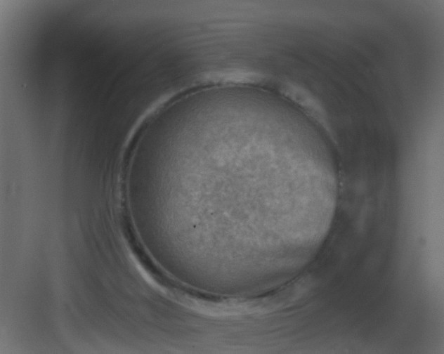 X0000082960012200702081728