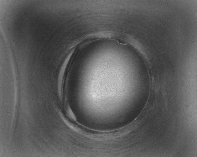 X0000082960013200702081728